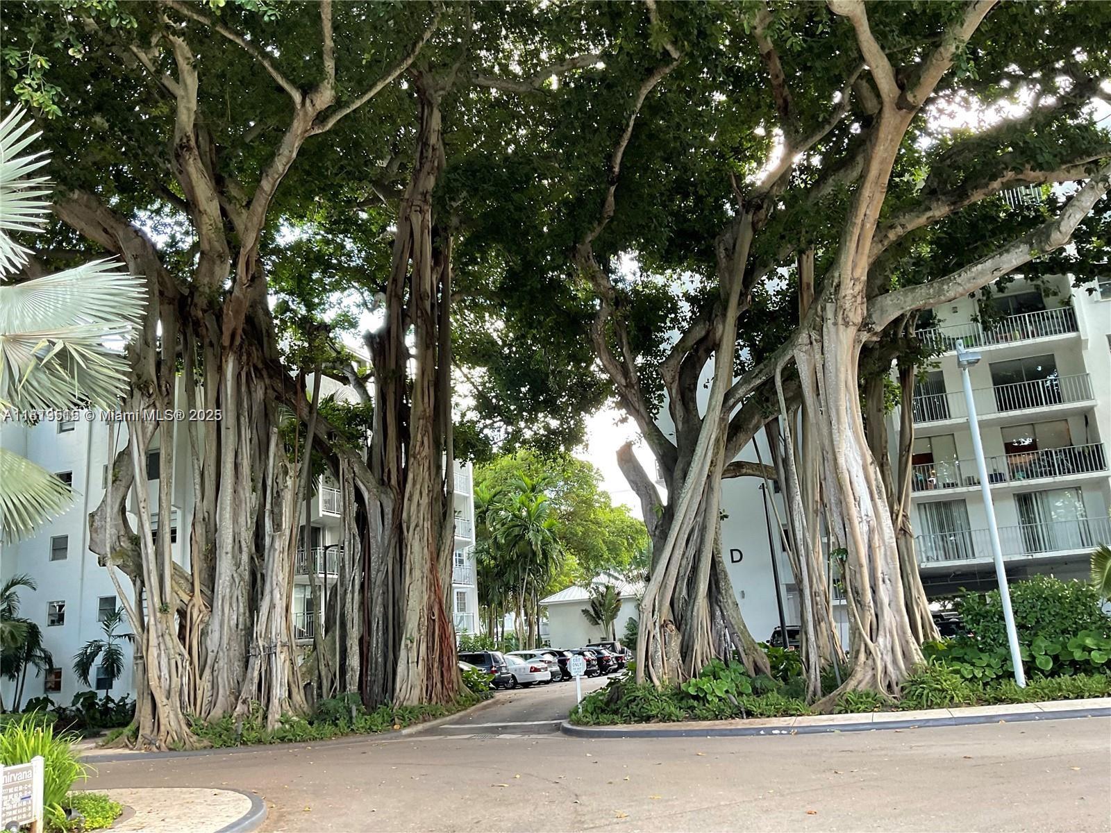 Rental Property at 750 Ne 64th St B400, Miami, Broward County, Florida - Bedrooms: 2 
Bathrooms: 2  - $3,250 MO.