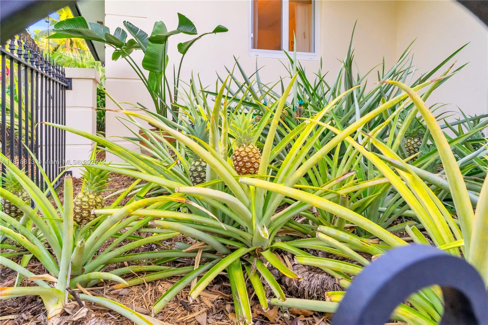 COUNTRY SQUIRE MANOR SEC - Residential Lease