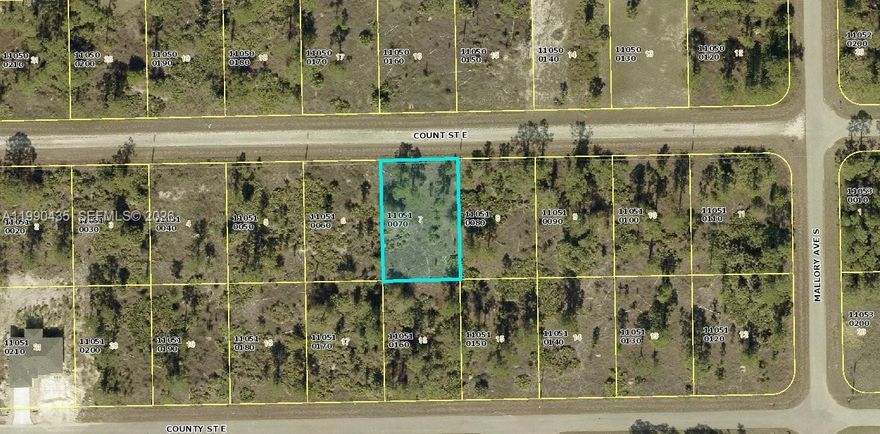 Double the potential, double the opportunity! These two adjacent lots at 1222 and 1224 Count St. E present an incredible chance for the savvy Buyer. Build your dream home on one and keep the other for investment or additional space. With these adjacent lots, your options are limitless - no HOA fees, zoned for single family residential and not in a flood zone so no flood insurance will be needed. Lehigh Acre has the highest elevation of any area in Lee County. Seize this unique opportunity today!