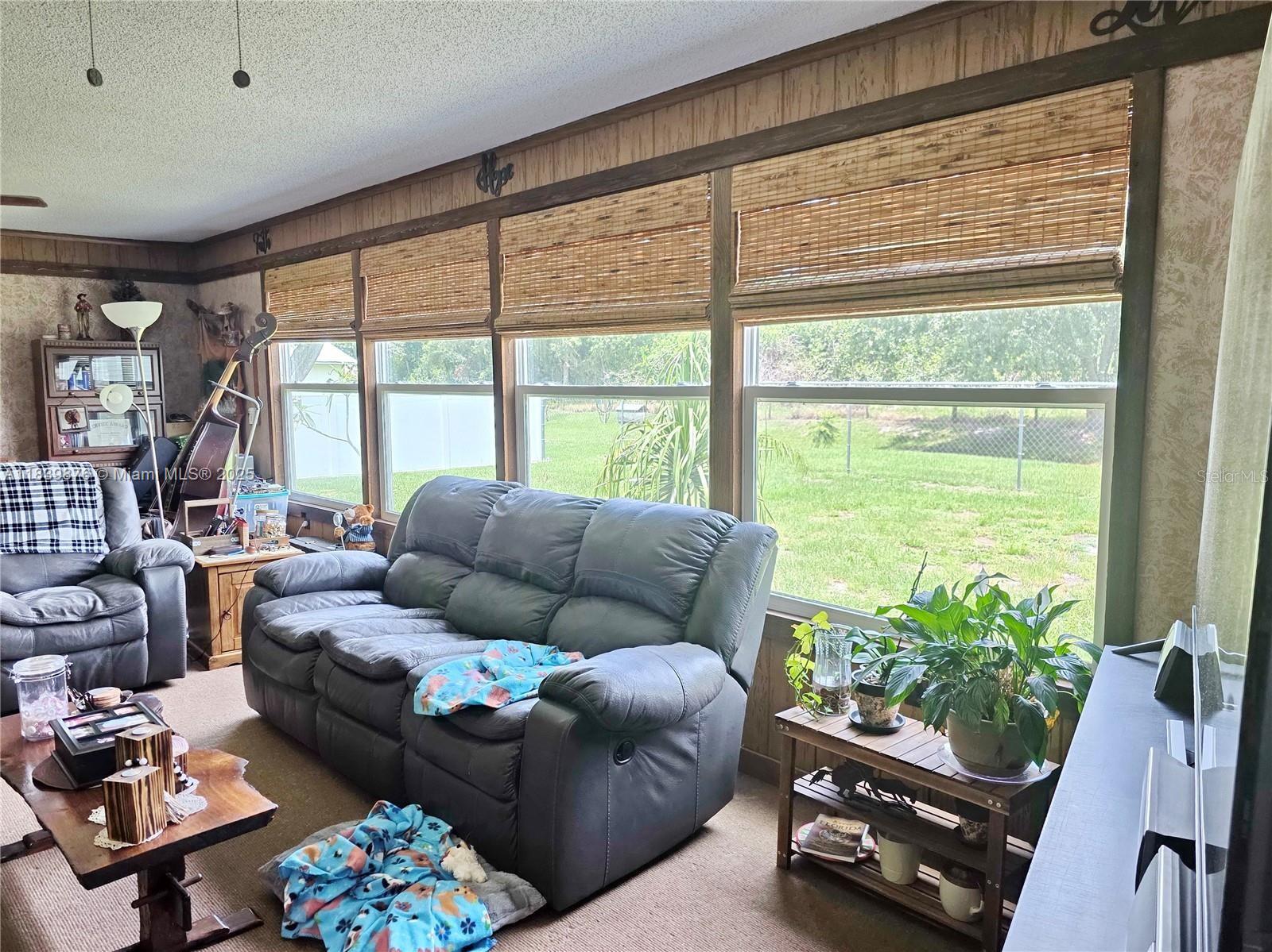 Treasure Island - Residential