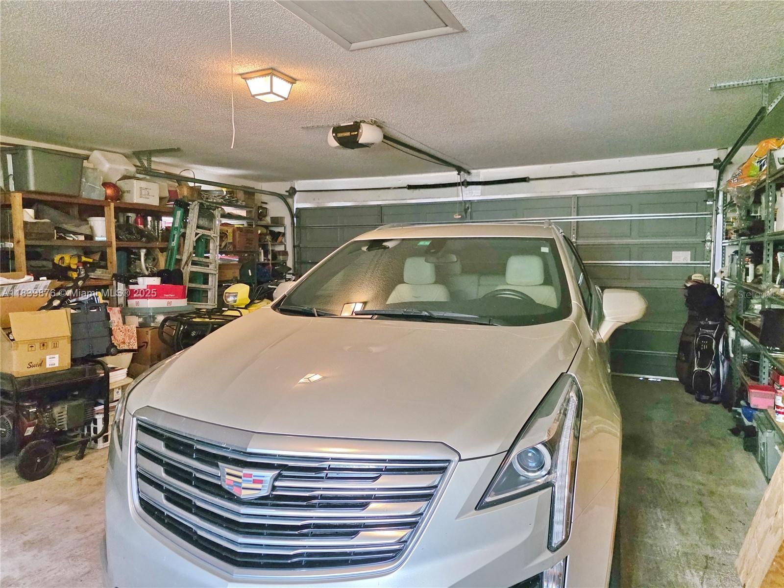 Treasure Island - Residential