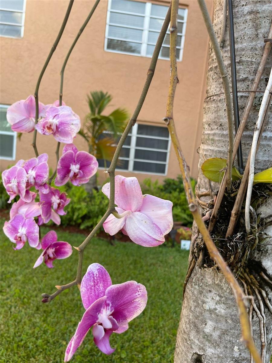 QUAIL RUN OF SUNRISE - Residential