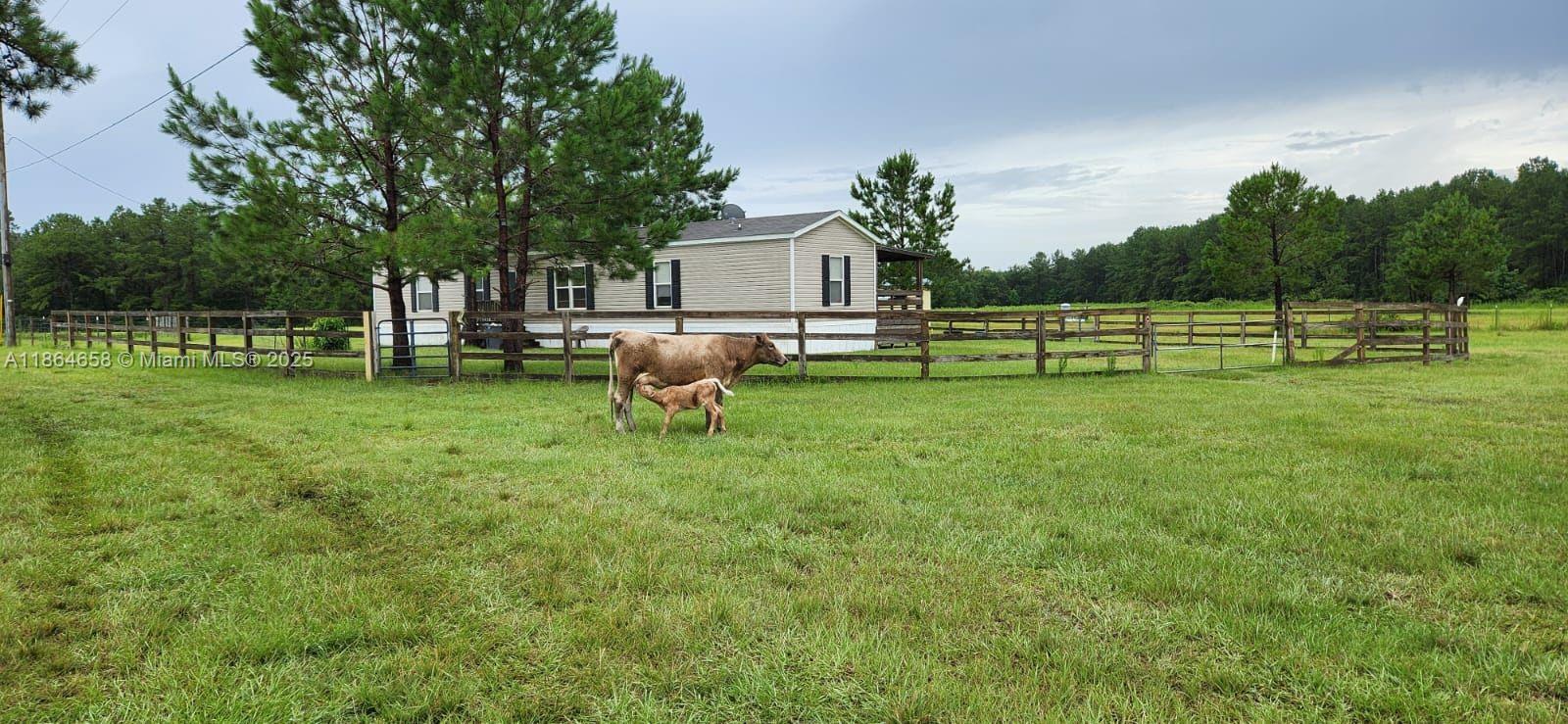 Spanning 65 fully fenced acres, this versatile property blends comfort, infrastructure, and natural beauty. Features include a 2016 3-bed/2-bath mobile home, a 2,100 SF climate-controlled steel building with full utilities, a 500 SF insulated outbuilding, two 30' x 120' barns, four greenhouses, two wells, dual septic systems, and RV hookups. With 15 acres of income-producing pine and lush bahia pastures, it’s primed for farming, livestock, or agribusiness.
Located across from the Aucilla River and surrounded by large estates, the property ensures unmatched privacy and abundant wildlife. Ideal as a homestead, working farm, hunting retreat, or recreational getaway, it offers endless potential for both lifestyle and investment.