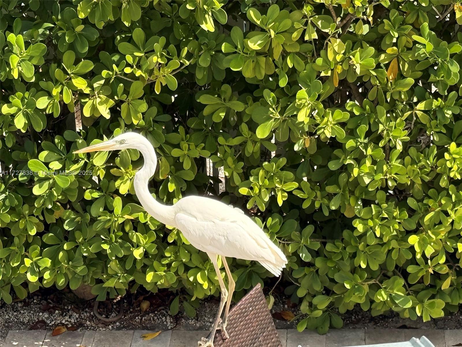 STILLWRIGHT POINT NO 2 - Residential