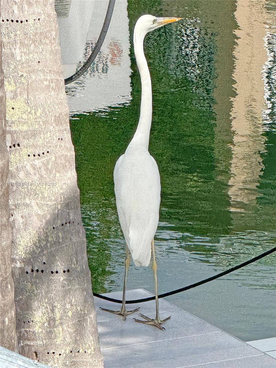 STILLWRIGHT POINT NO 2 - Residential