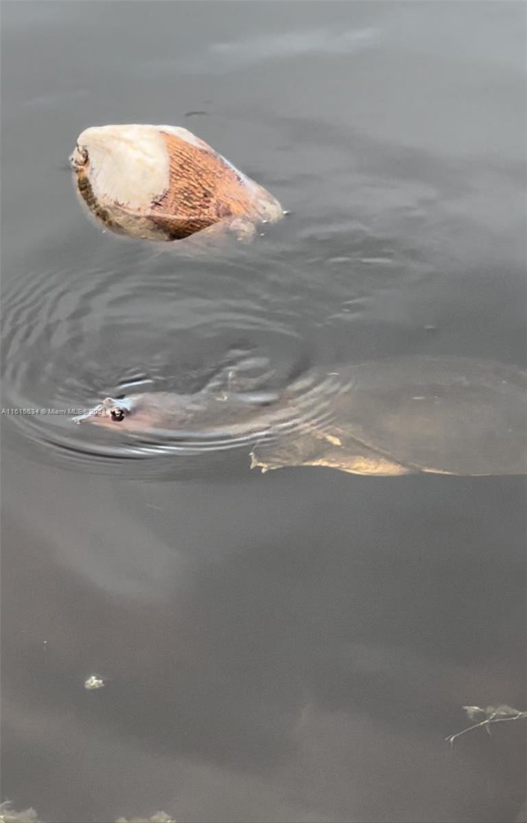 PALM BEACH FARMS - Residential