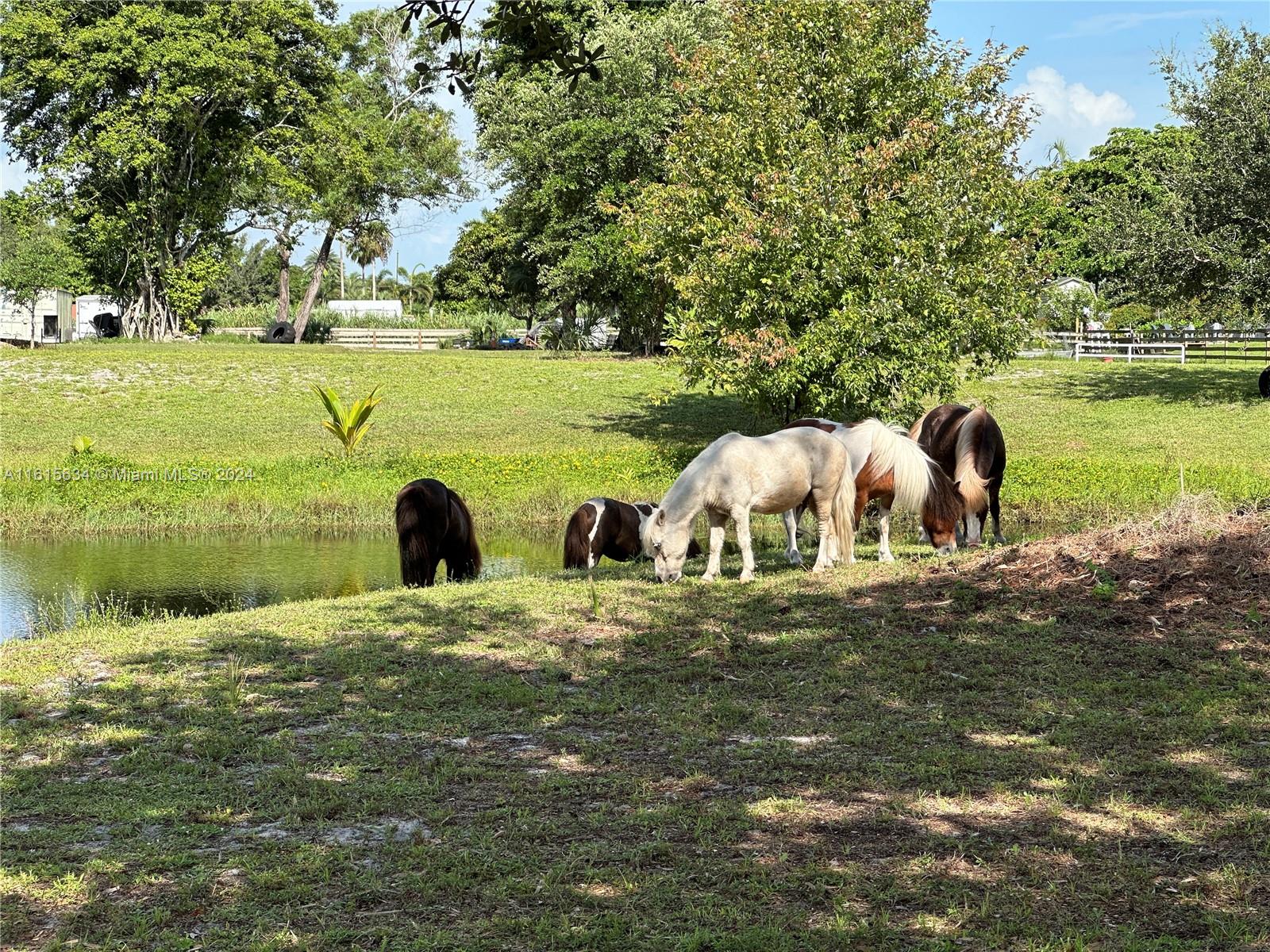 PALM BEACH FARMS - Residential