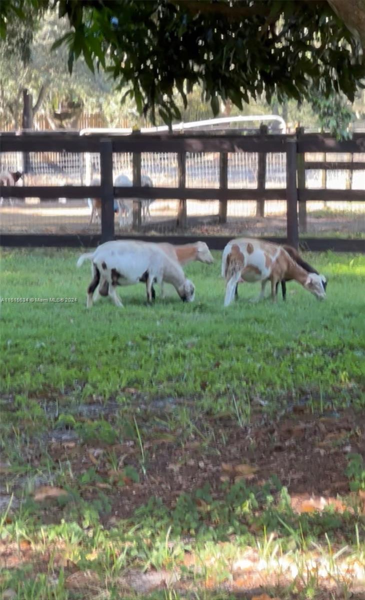 PALM BEACH FARMS - Residential