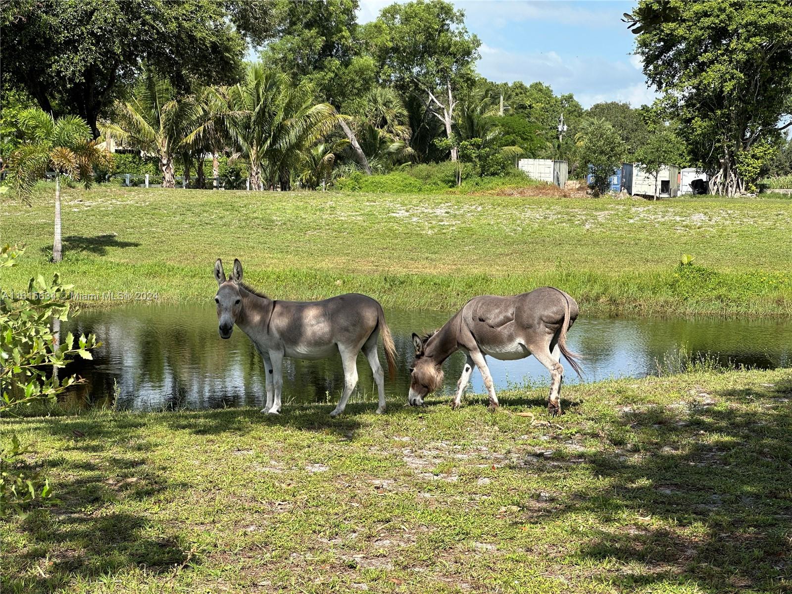 PALM BEACH FARMS - Residential