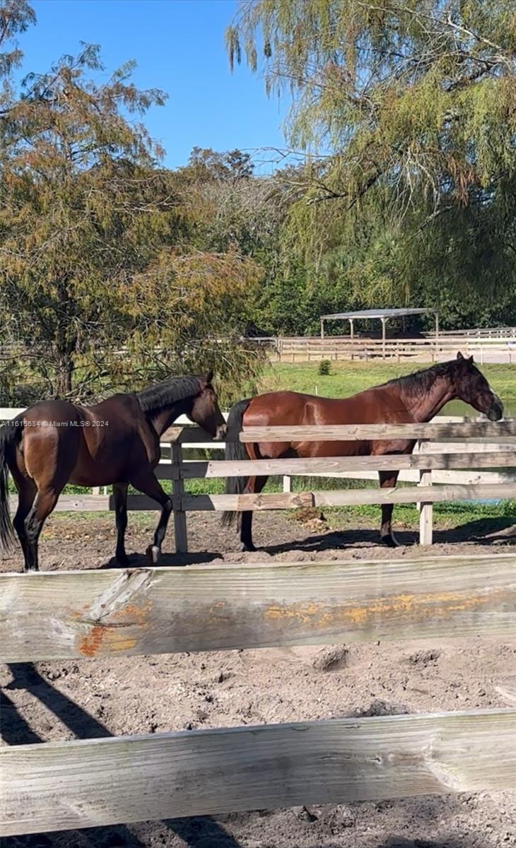 PALM BEACH FARMS - Residential