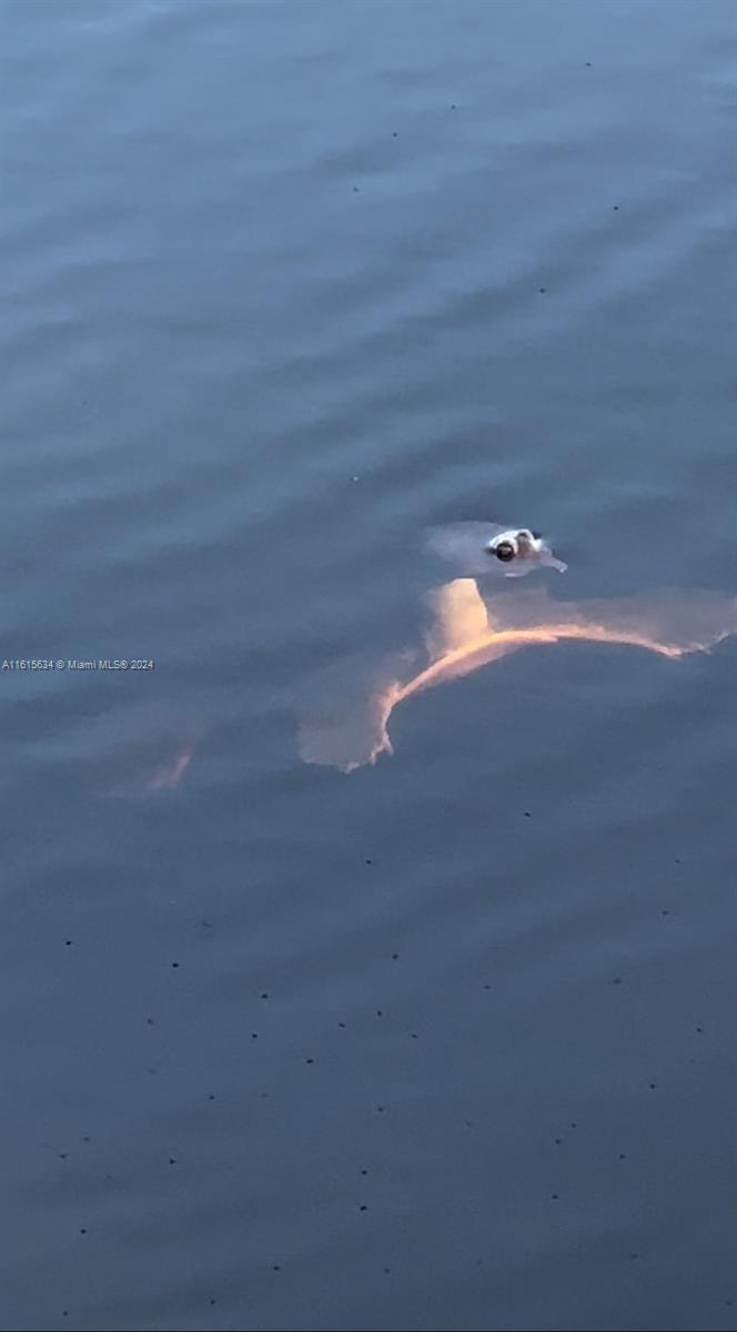 PALM BEACH FARMS - Residential