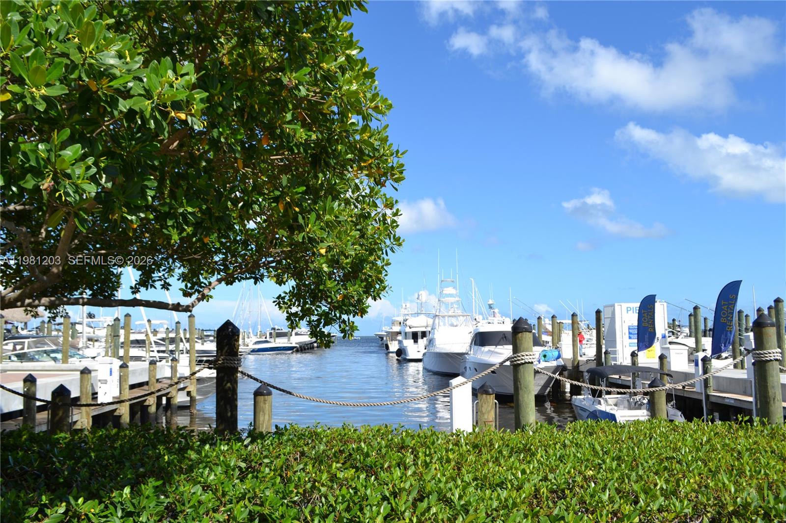 DIXIE GROVE RESIDENCES CO - Residential