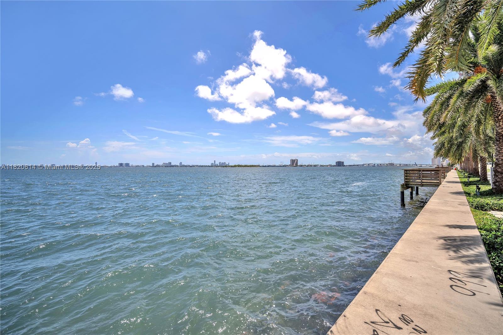 BISCAYNE BEACH CONDO - Residential