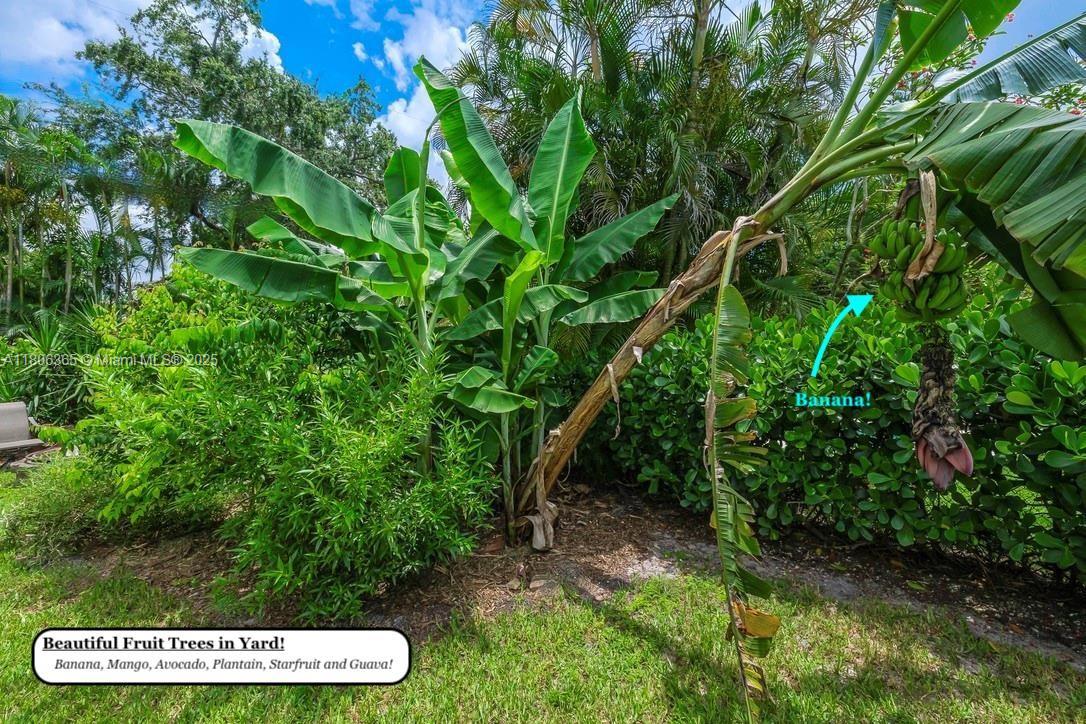 DUNNINGS MIAMI SHORES EXT - Residential