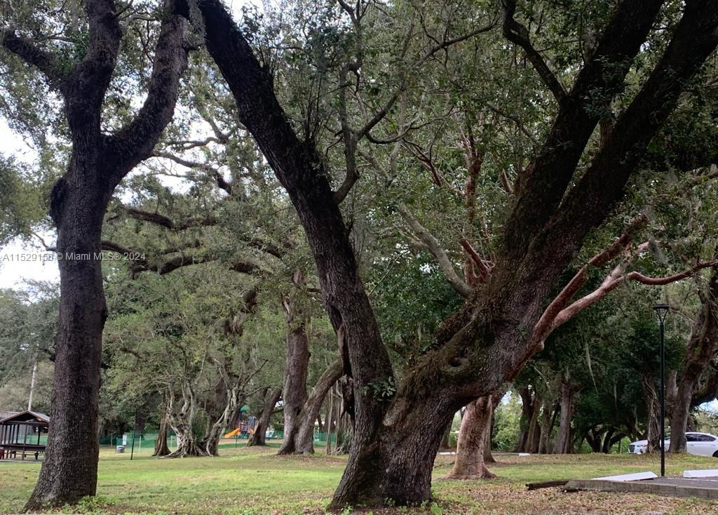 LIVE OAK CONDO ELEVEN - Residential Lease