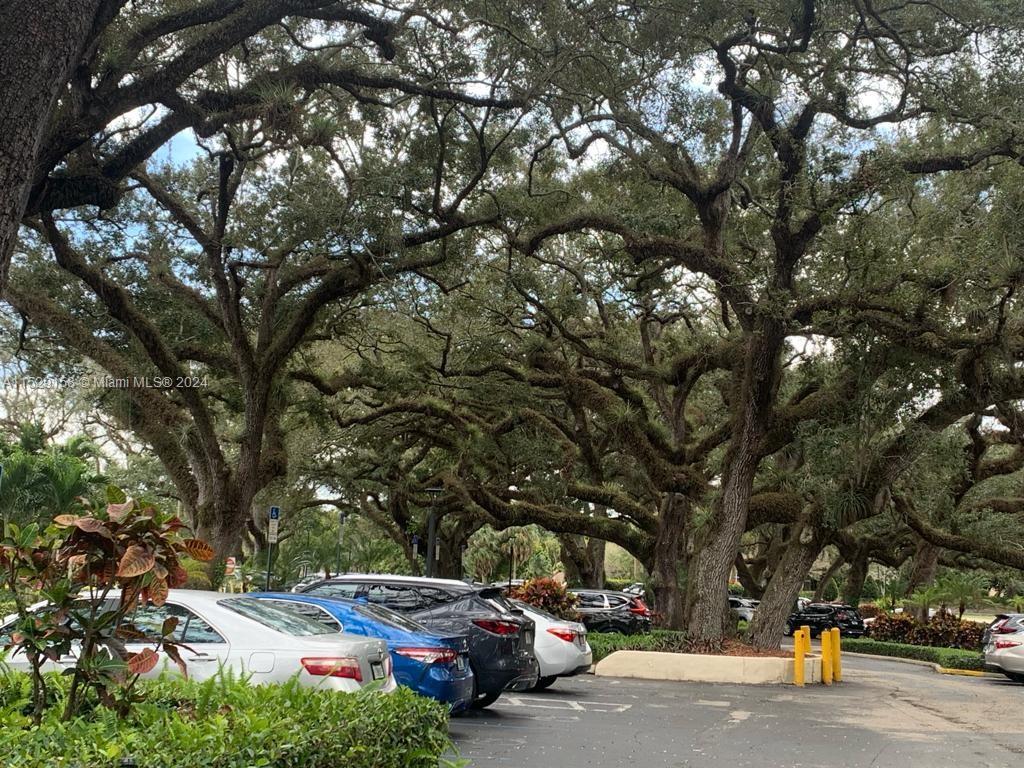 LIVE OAK CONDO ELEVEN - Residential Lease