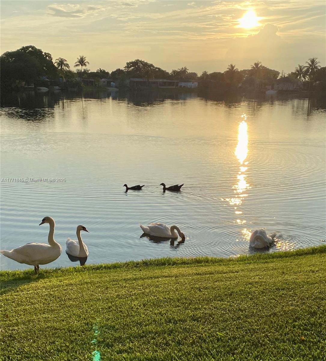 Rental Property at 2061 Nw 96th Ter 12N, Pembroke Pines, Miami-Dade County, Florida - Bedrooms: 2 
Bathrooms: 2  - $2,300 MO.