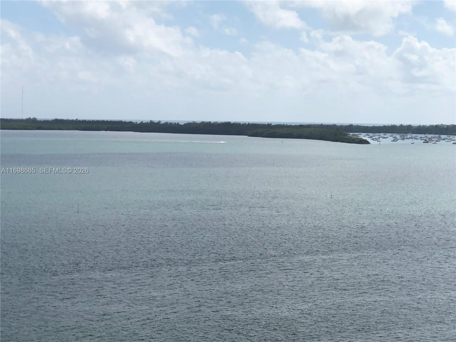 770 Claughton Island Dr 1504