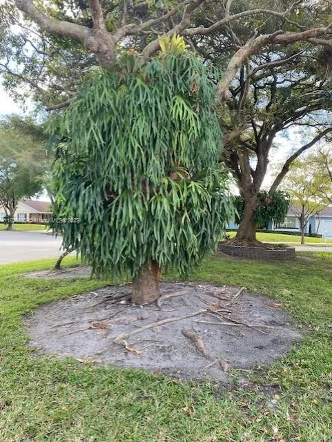 Miami, Florida 33196, United States, 4 Bedrooms Bedrooms, ,2 BathroomsBathrooms,Residential,Active,159356