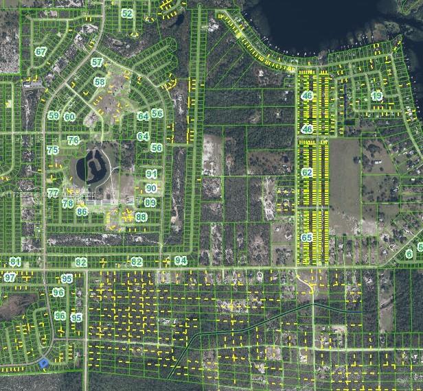 ORANGE BLOSSOM - Land