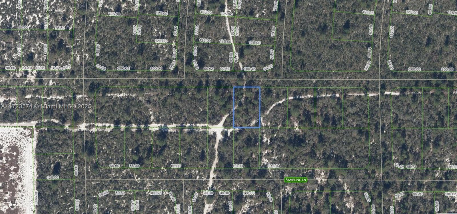 OWNER WILL FINANCE!!! Huge 80 X 125 lot located in the Sun N Lakes community, Located in Sun n Lakes Subdivision this lot is high and dry. Sun 'N Lakes is located approximately 85 miles from either coast and about 100 miles south of Orlando. There is a beautiful park with a white sandy beach and two docks on Lake Grassy. OWNER WILL FINANCE!!! $1,000 DOWN $182.17 PER MONTH FOR 36 MONTHS AT 7% INTEREST.
