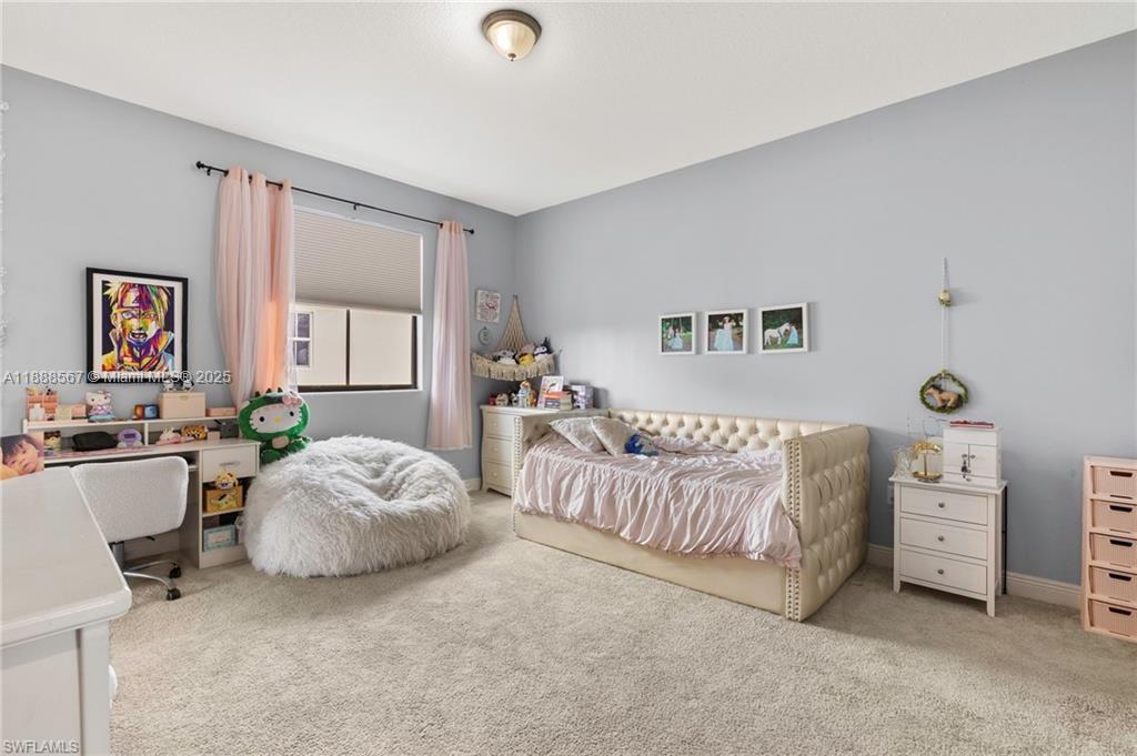 Maple Ridge At Ave Maria P - Residential