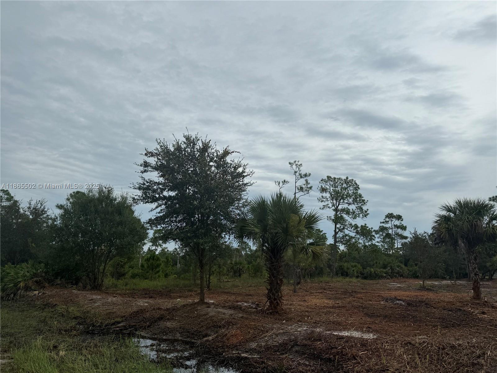 MONTURA RANCH ESTATES - Land