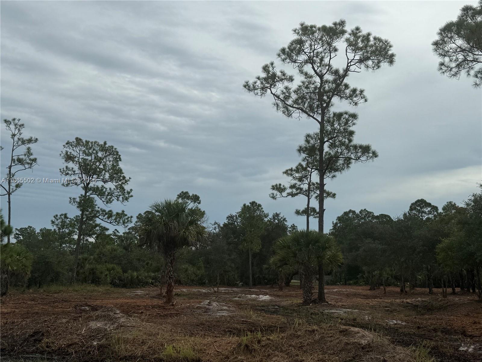 MONTURA RANCH ESTATES - Land