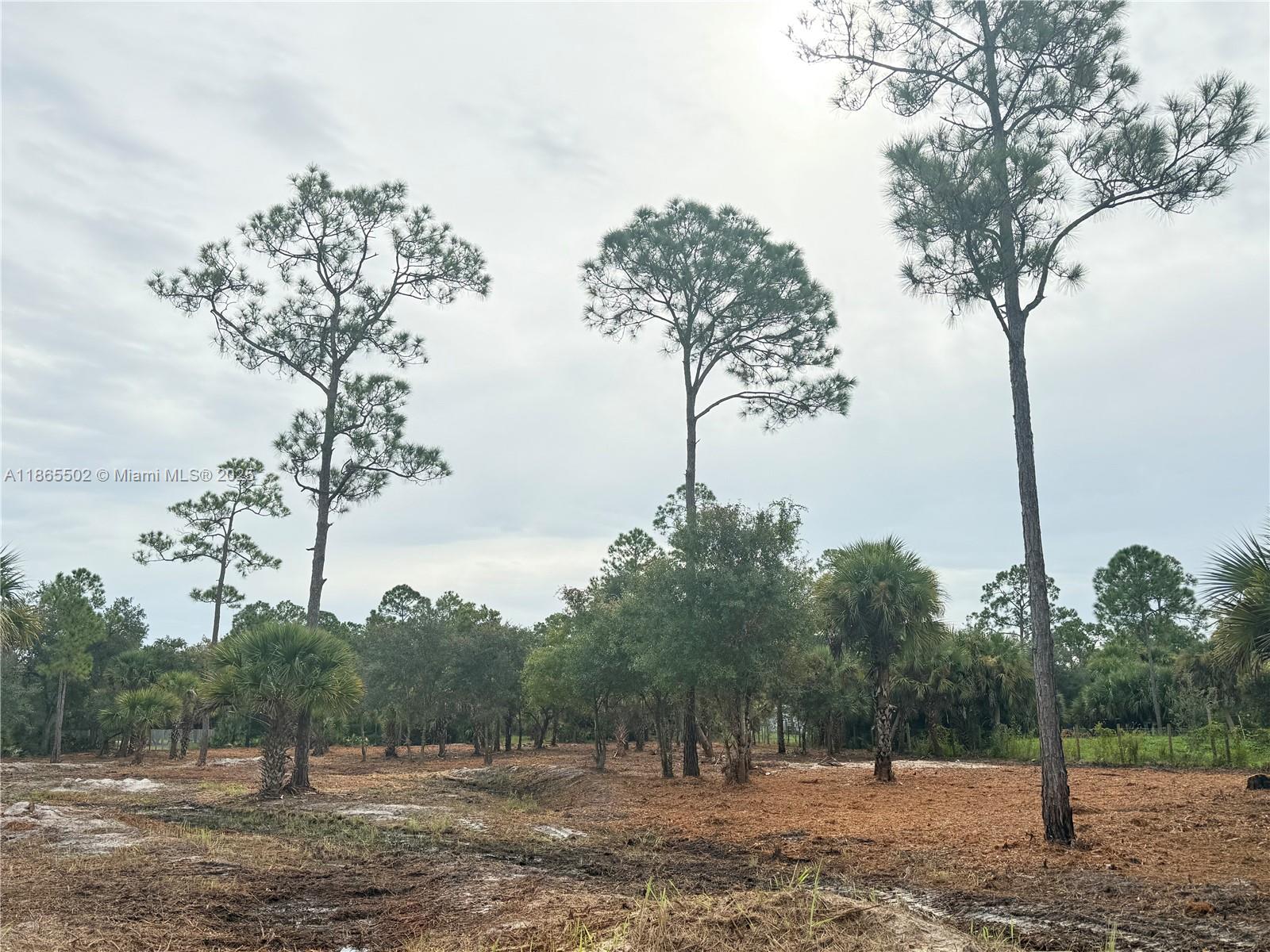 MONTURA RANCH ESTATES - Land