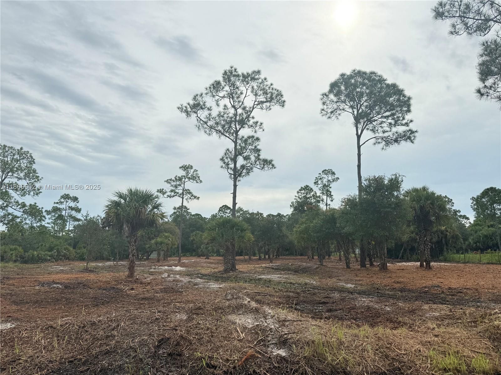 MONTURA RANCH ESTATES - Land