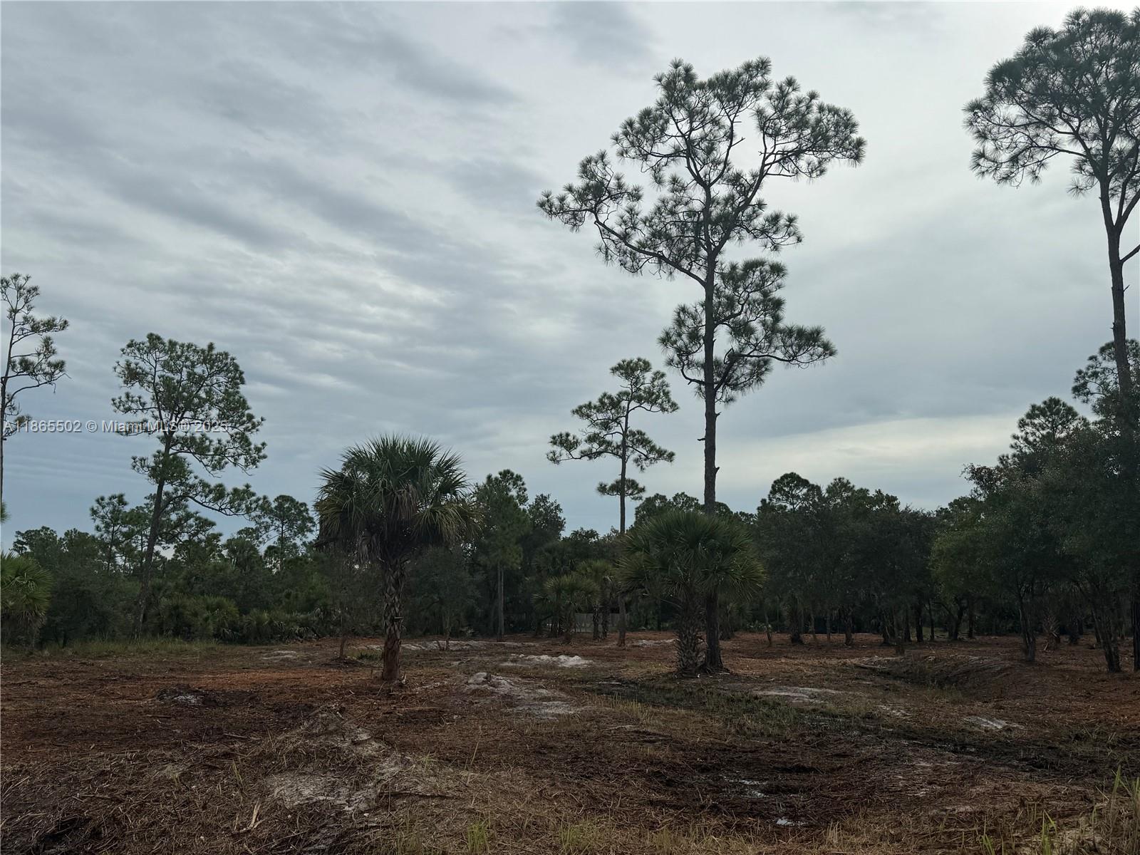 MONTURA RANCH ESTATES - Land