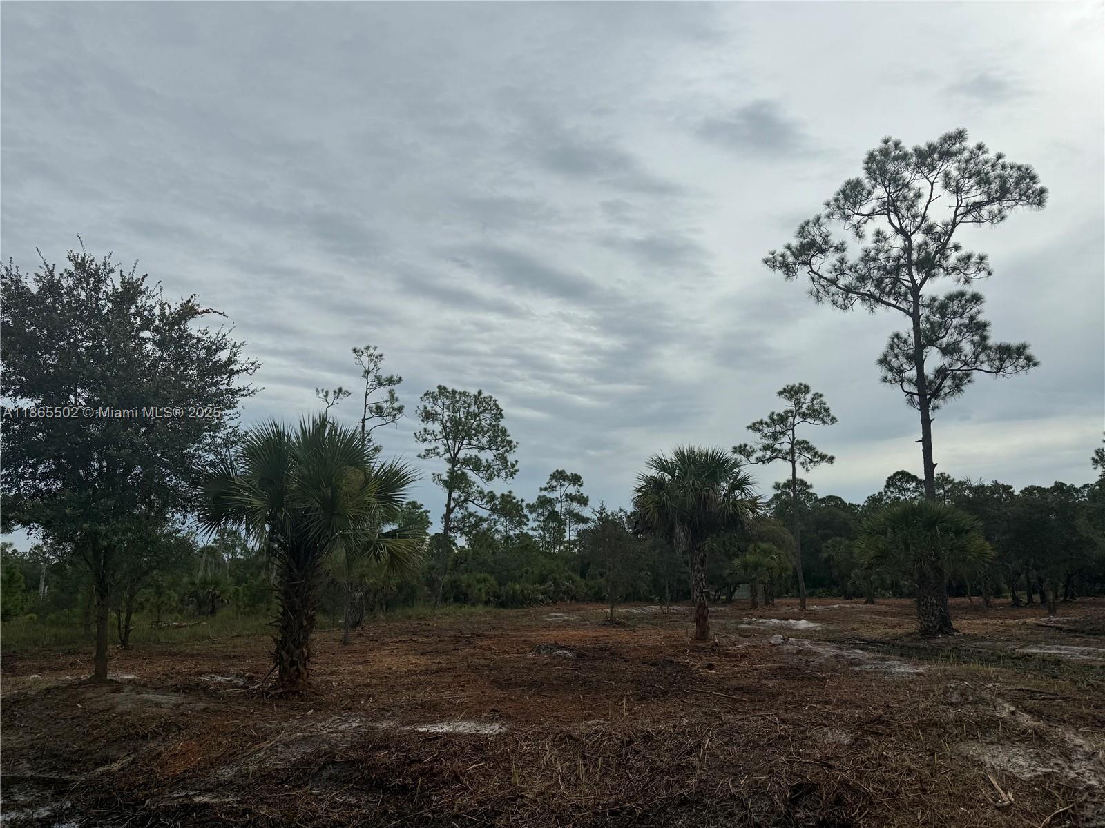 MONTURA RANCH ESTATES - Land