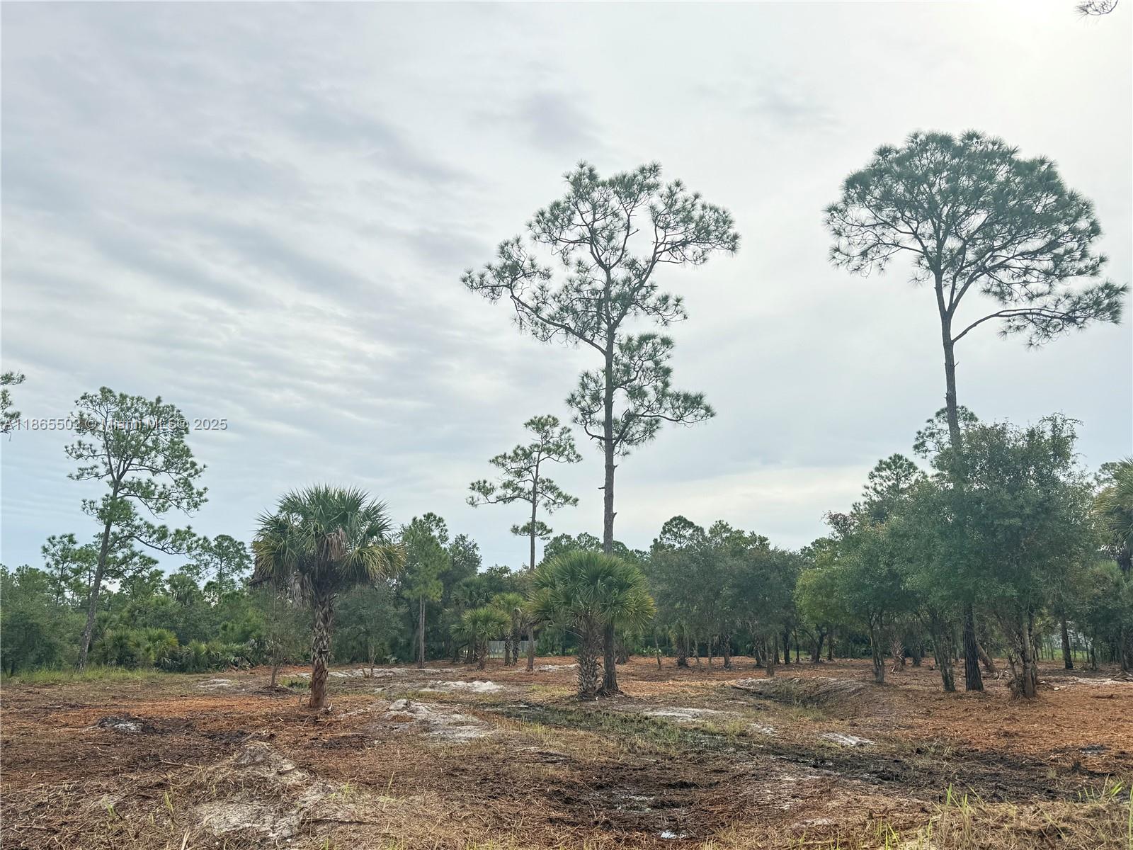 MONTURA RANCH ESTATES - Land