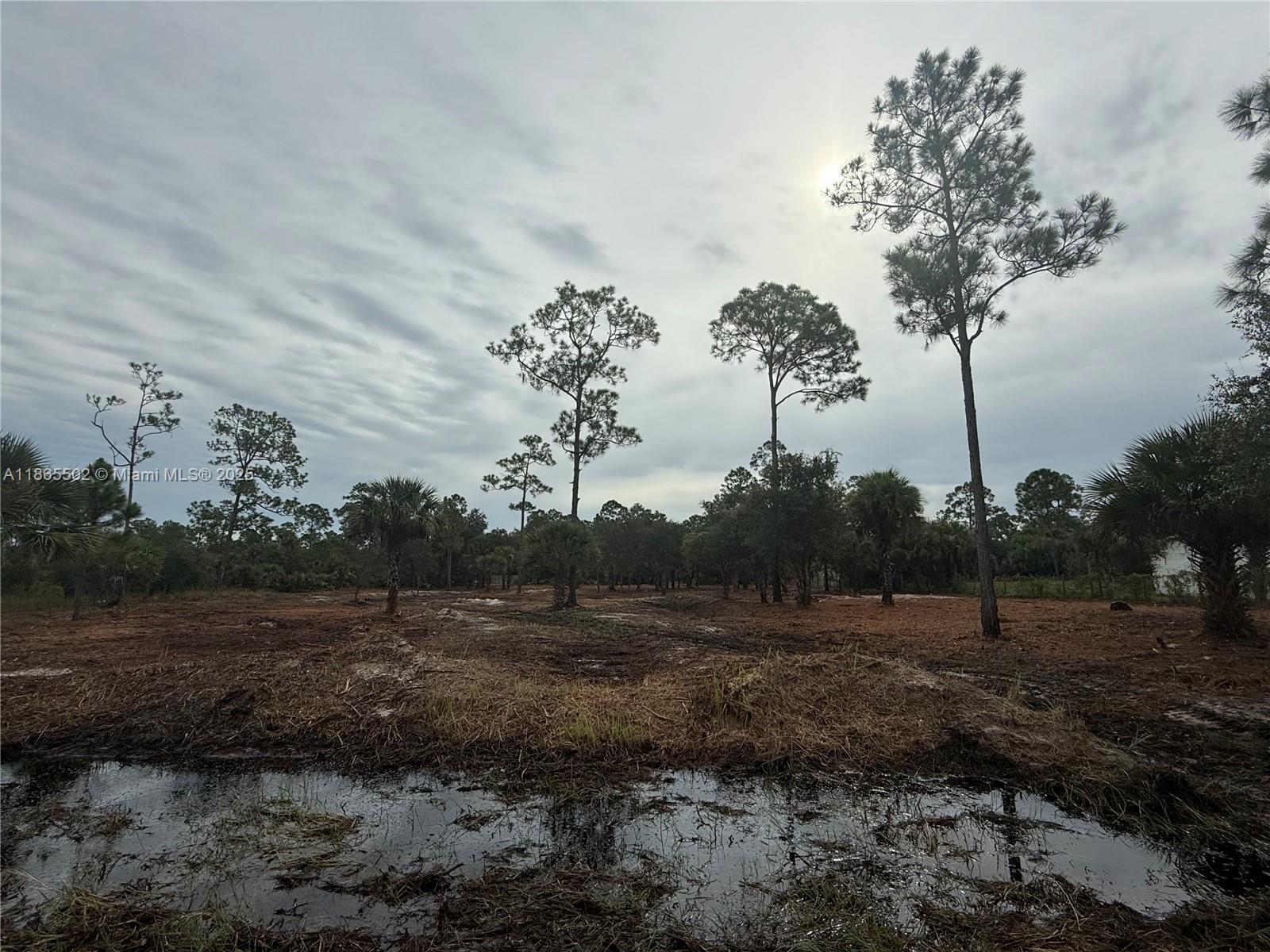 MONTURA RANCH ESTATES - Land