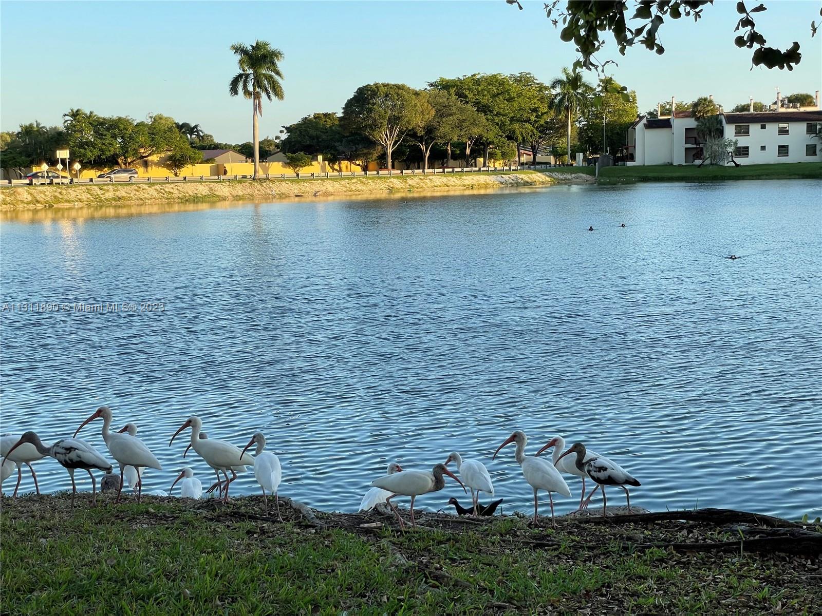 WATERVIEW CONDO - Residential Lease