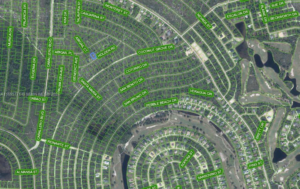 SUN N LAKE EST OF SEBRING - Land