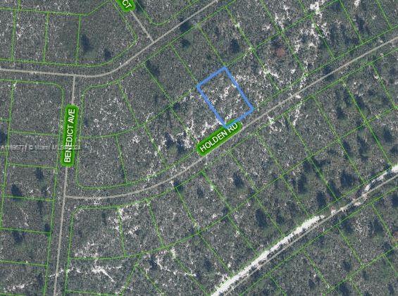 OWNER WILL FINANCE!!! Large developer expected to develop this area in the near future! Sun N Lakes community, a perfect place to build your dream home in which to raise your kids or retire. The Sun N Lakes community offers 2 18-Hole championship golf courses, restaurant, clubhouse, gym, playground, community pool, splash pad, community center, fitness center, pickle ball, and tennis. Sebring is centrally located 1.5 hours from Disney, 1.5 hours from Tampa and 1.45 hours from Ana Maria Island Beaches. Located close to Advent health and Sun N Lake Elementary. Lots are going quickly! Come check it out today! OWNER WILL FINANCE!!! 5K DOWN 424.52 A MONTH FOR 72 MONTHS AT 7% INTREST.