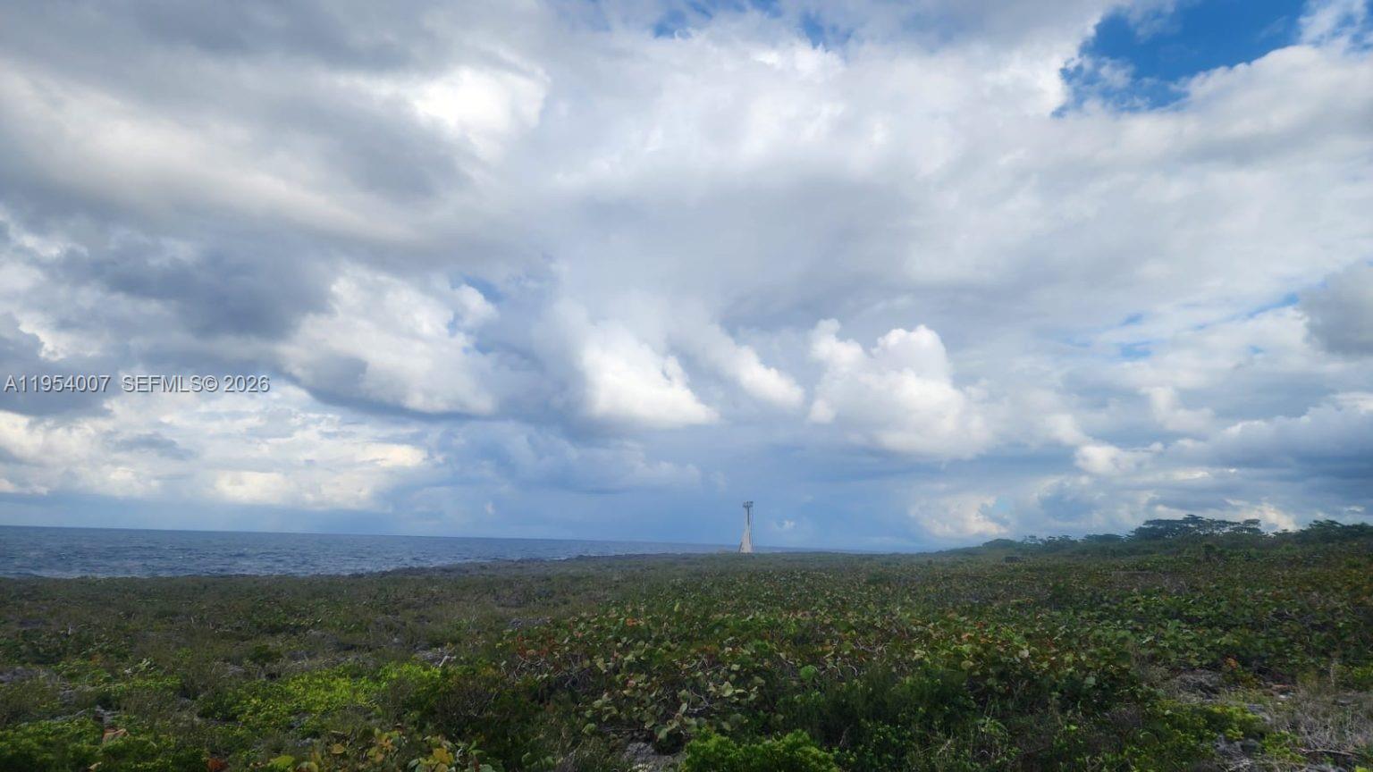 00 Galina, St. Mary, Jamaica