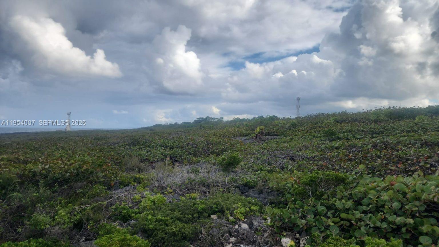 00 Galina, St. Mary, Jamaica