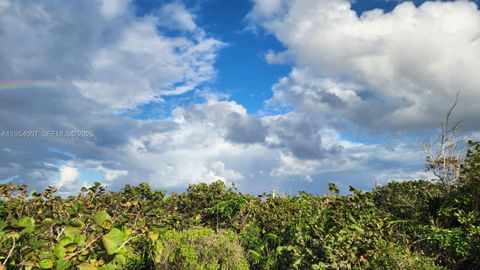 00 Galina, St. Mary, Jamaica St Mary FL