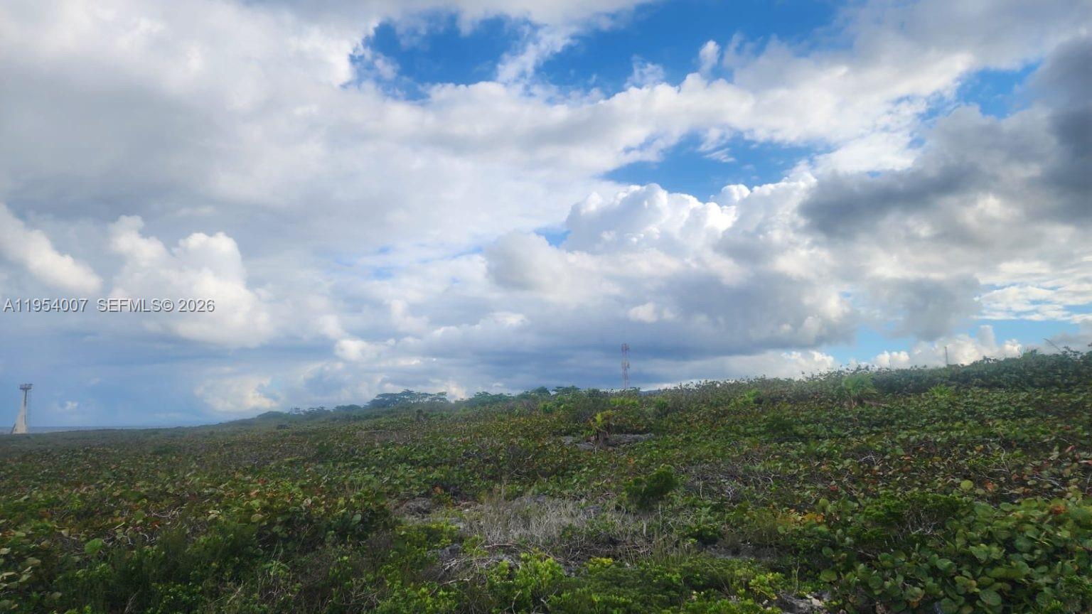 00 Galina, St. Mary, Jamaica