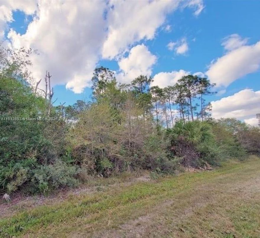 Excellent opportunity to own a residential lot in a growing and desirable area. Ideal for building your dream home or as an investment. The property offers great potential with flexible development options. Owner financing available. Don’t miss this chance—contact the listing agent for more information.