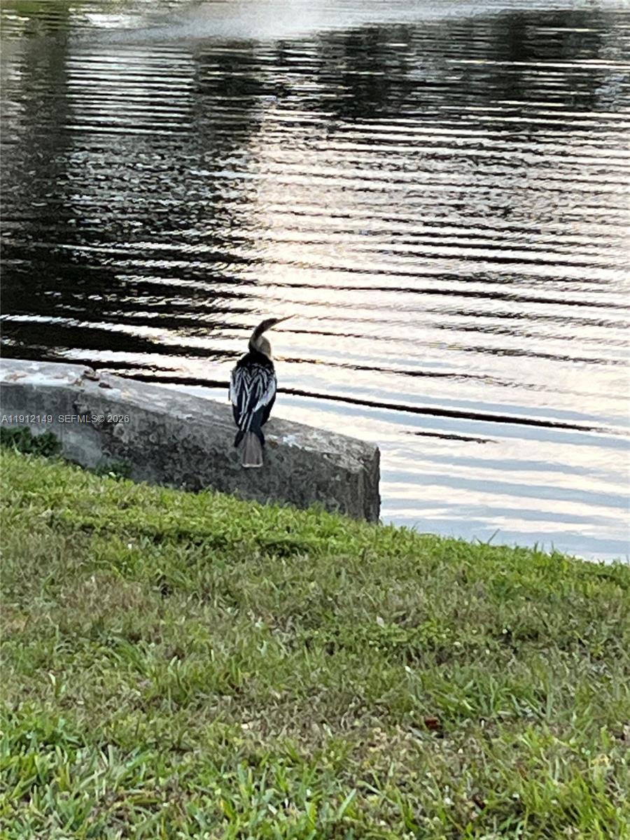 NO 51 PALM-AIRE COUNTRY C - Residential