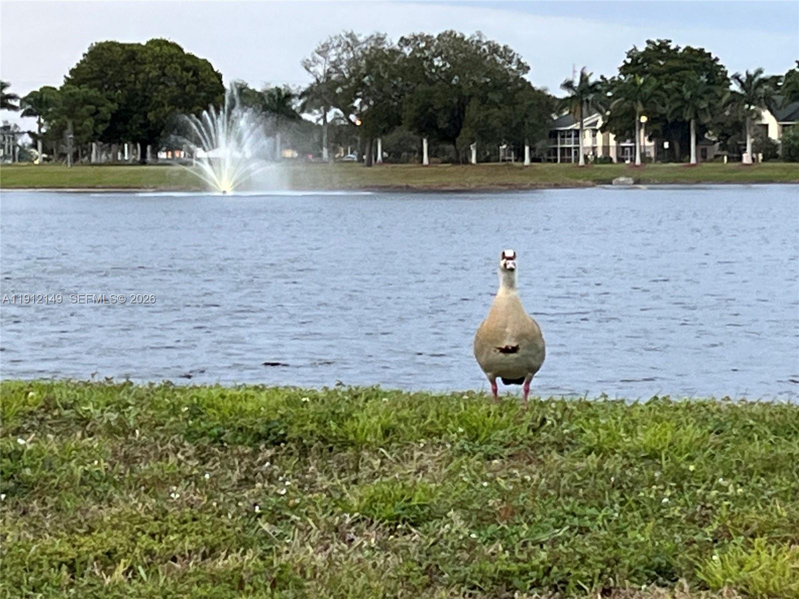 NO 51 PALM-AIRE COUNTRY C - Residential