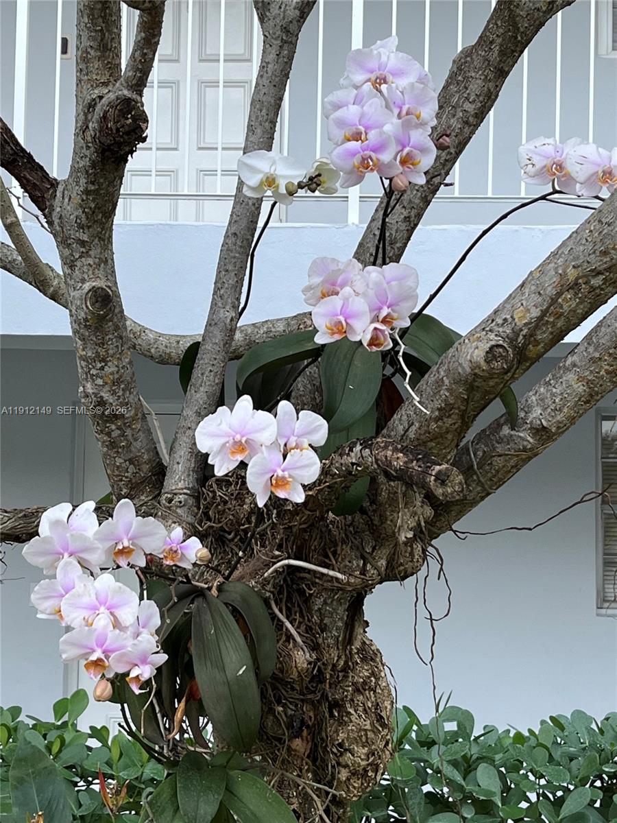 NO 51 PALM-AIRE COUNTRY C - Residential