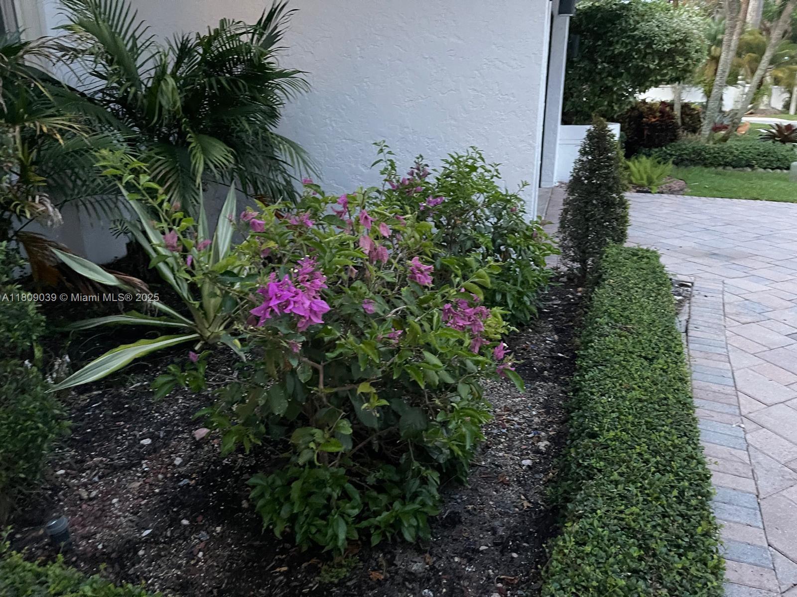 JACARANDA PARCEL 542 - Residential Lease