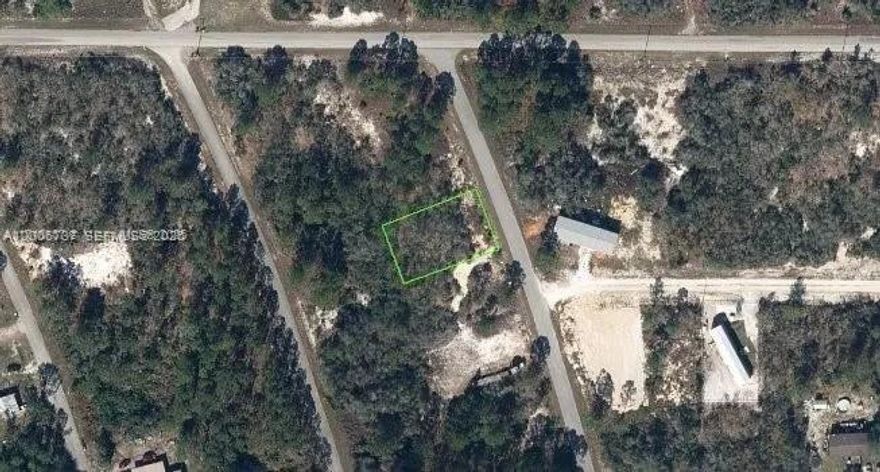 Bring your dream blueprint plans and build your forever home nestled in the heart of Lake Placid, Florida