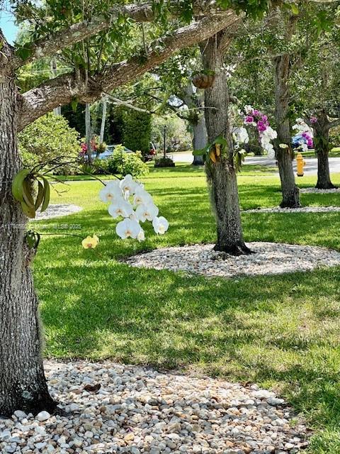 ROYAL PALM HARBOR - Residential