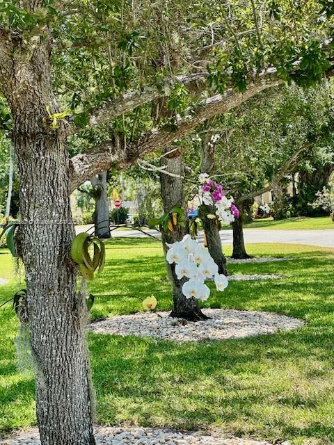 ROYAL PALM HARBOR - Residential