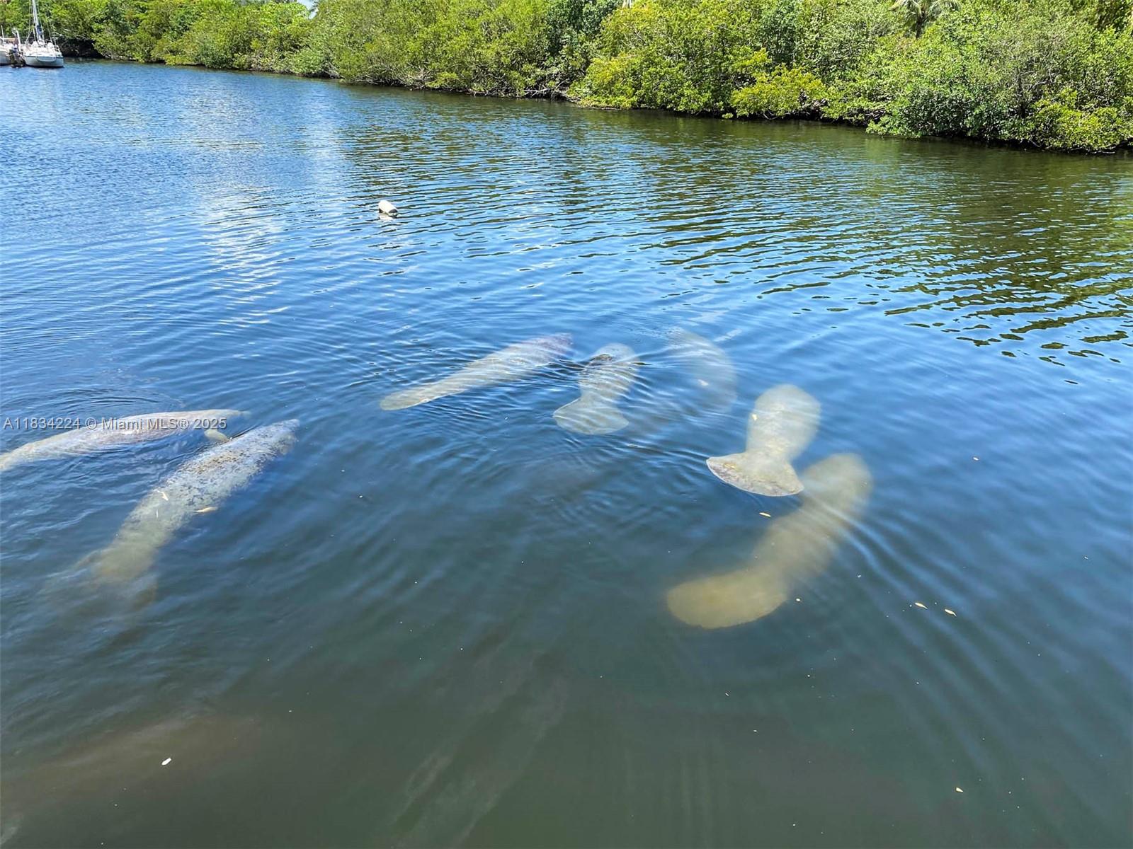 ENSENADA CONDO BLDG E-II - Residential